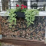 Vanha Ravintola Oelvin Suolatorilla - Vanhan Kanttorilan Yhteydessae
