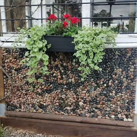 Vanha Ravintola Oelvin Suolatorilla - Vanhan Kanttorilan Yhteydessae