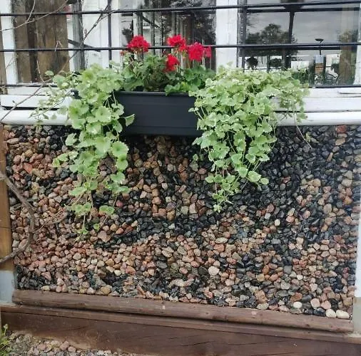 Vanha Ravintola Oelvin Suolatorilla - Vanhan Kanttorilan Yhteydessae